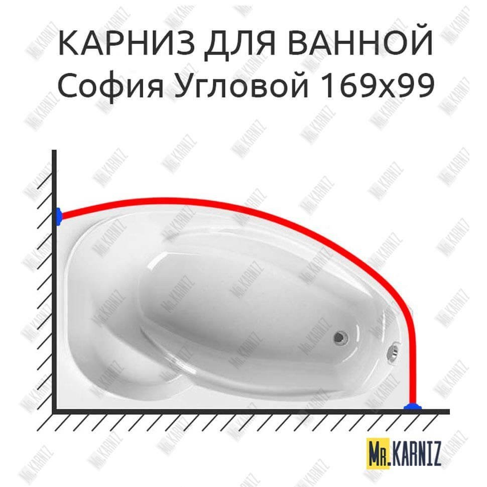 Карниз для ванны Radomir София Угловой 169х99 Усиленный 25 мм MrKARNIZ Карниз для ванны Radomir София Угловой 169х99 Усиленный 25 мм MrKARNIZ